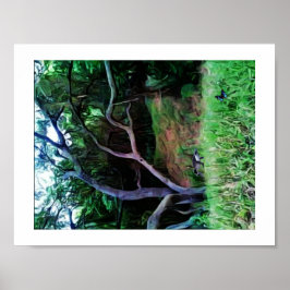 Póster Bosque del río Sacramento