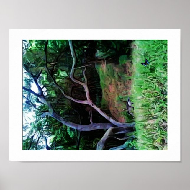 Póster Bosque del río Sacramento (Frente)