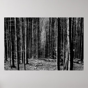 Póster Bosque en blanco y negro