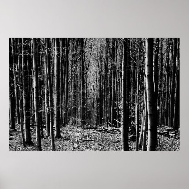 Póster Bosque en blanco y negro (Frente)