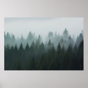 Póster Bosque en la mañana niebla en la montaña. Pícea