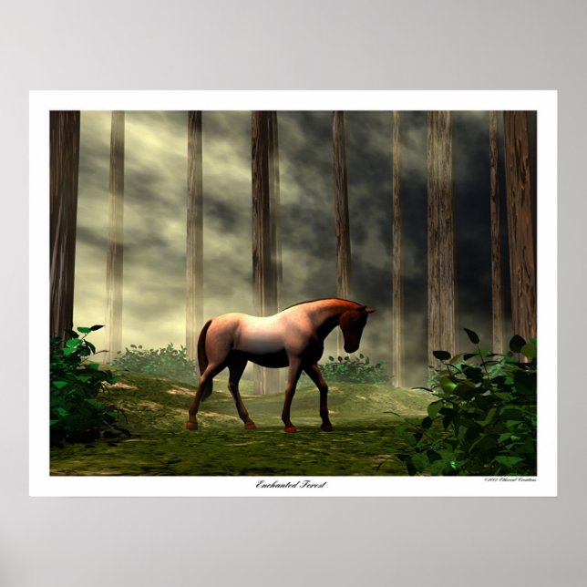 Póster Bosque encantado (Frente)