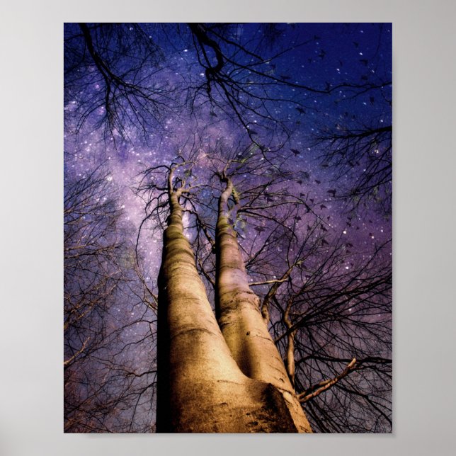 Póster Bosque encantado (Frente)