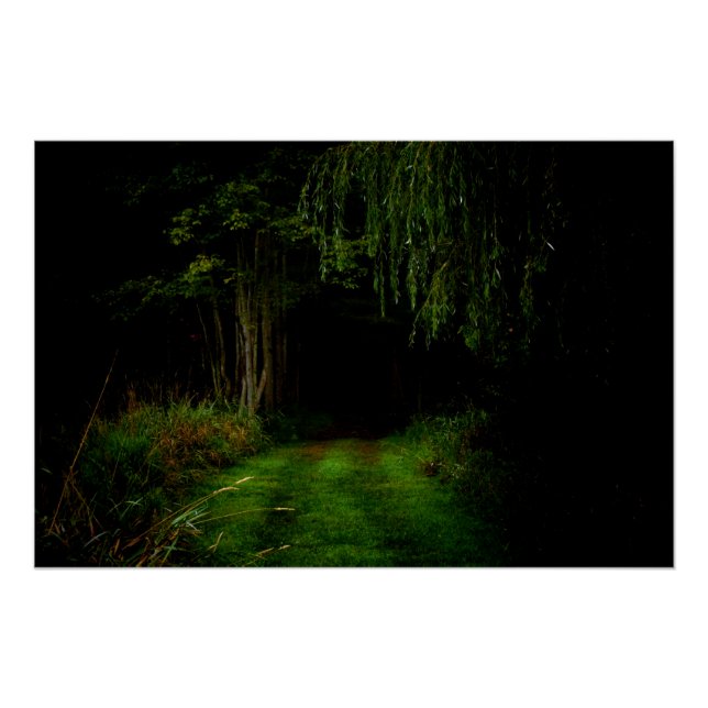 Póster Bosque espumoso (Anverso)