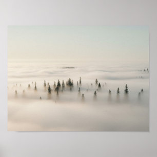 Póster Bosque Etéreo: Pinos Emergentes de la Mañana