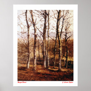 Póster Bosque/Forest