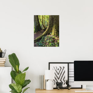 Póster Bosque Fotográfico de Naturaleza Perenne Lujuriosa