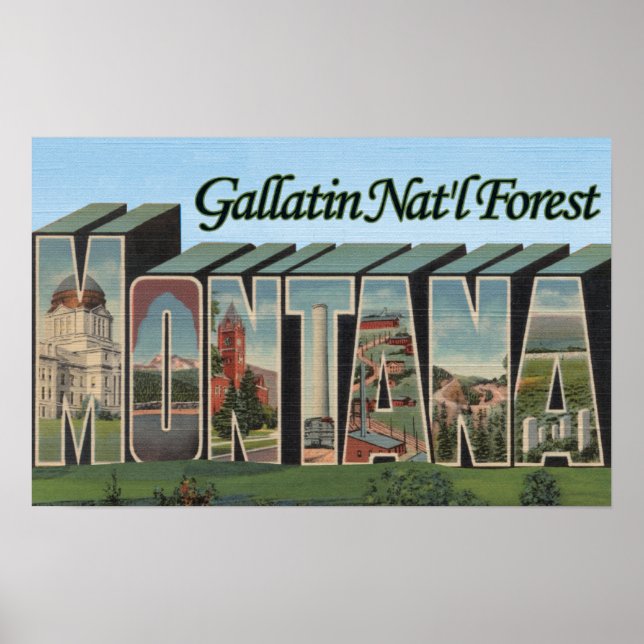Póster Bosque Gallatin Nat'l, Montana (Frente)