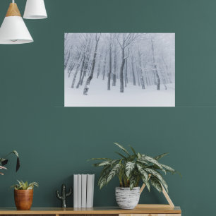 Póster Bosque helado cubierto de nieve en invierno