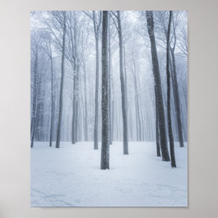 Póster Bosque invernal brumoso congelado