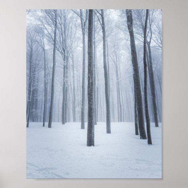 Póster Bosque invernal brumoso congelado (Frente)