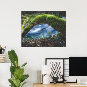 Póster Bosque mágico encantado