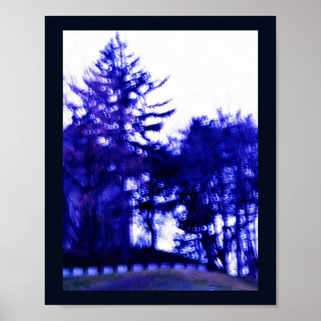 Póster Bosque misterioso (Frente)