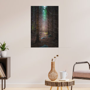 Póster Bosque misterioso de abetos