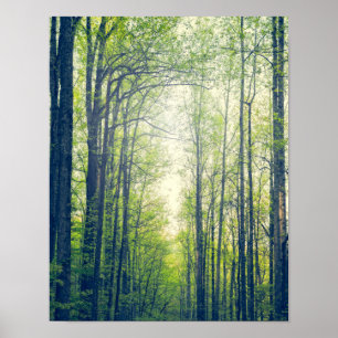 Póster Bosque místico