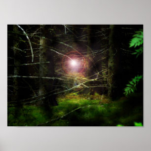 Póster Bosque místico