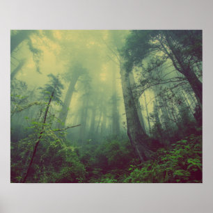Póster Bosque Misty