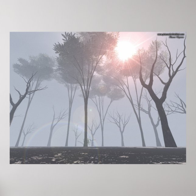 Póster Bosque moribundo en niebla (Frente)