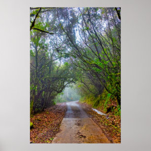Póster Bosque Musgoso
