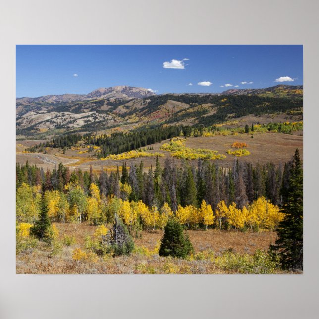Póster Bosque Nacional Bridger-Teton (Frente)