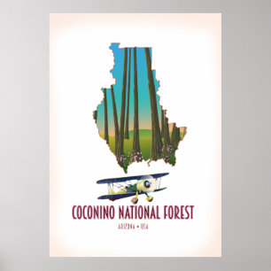 Póster Bosque Nacional Coconino Arizona EE. UU. mapa