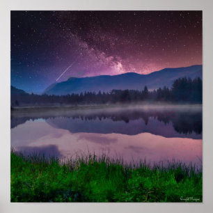 Póster Bosque nacional de Ashley