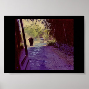 Póster Bosque nacional de Bandipur