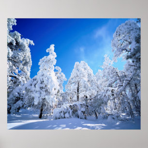 Póster Bosque nacional de Cleveland