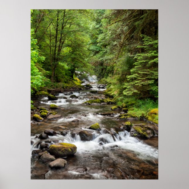 Póster Bosque nacional de Siuslaw | Creek dulce (Frente)