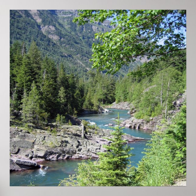 Póster Bosque nacional impresionante (Frente)