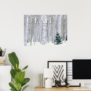 Póster Bosque Nacional Manti-LaSal, Utah