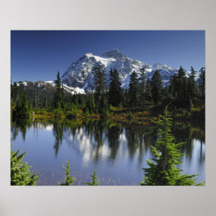 Póster Bosque nacional Monte Baker-Snoqualmie