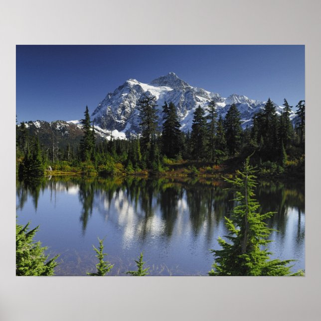 Póster Bosque nacional Mount Baker-Snoqualmie (Frente)