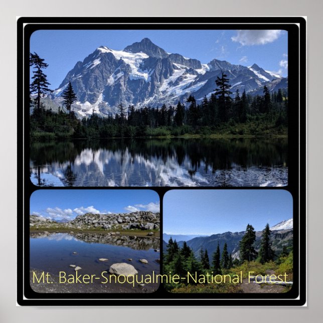 Póster Bosque Nacional Mt. Baker-Snoqualmie Collage (Frente)