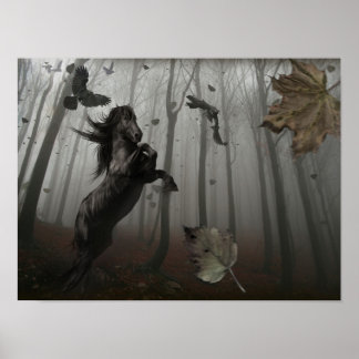 Póster Bosque Negro