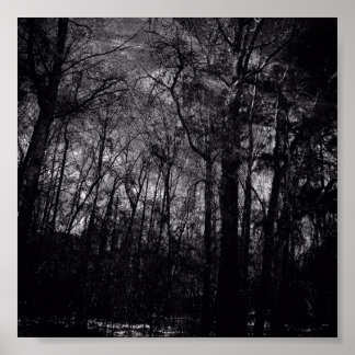 PÓSTER BOSQUE NEGRO EN POSTER