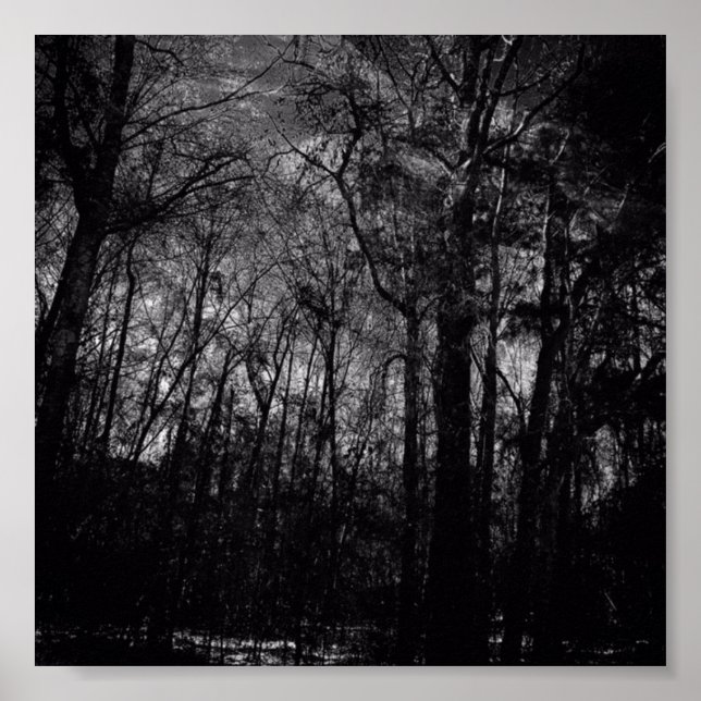PÓSTER BOSQUE NEGRO EN POSTER (Frente)