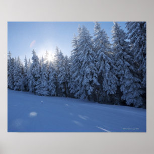 Póster bosque nevoso en la montaña