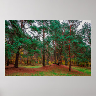 Póster Bosque otoñal