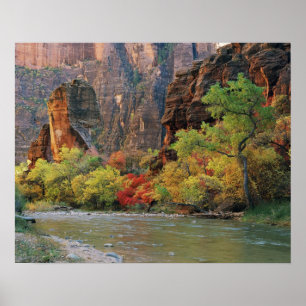 Póster Bosque otoñal a lo largo del río Virgin cerca de l
