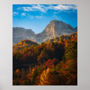 Póster Bosque otoñal bajo las montañas