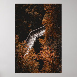 Póster Bosque otoñal con sendero de madera