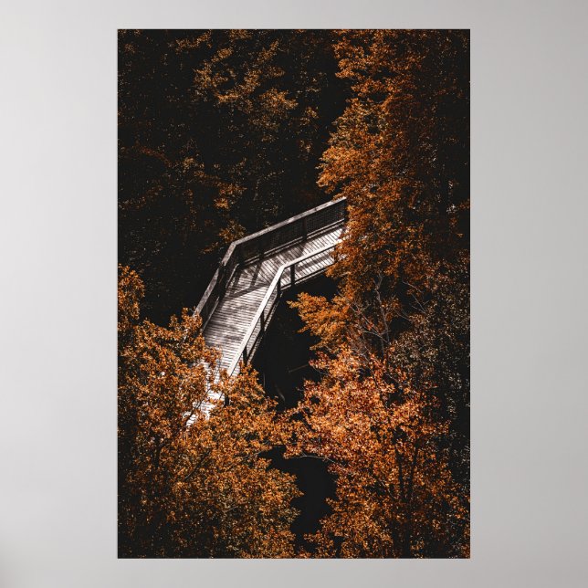 Póster Bosque otoñal con sendero de madera (Frente)