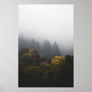Póster Bosque otoñal envuelto en niebla