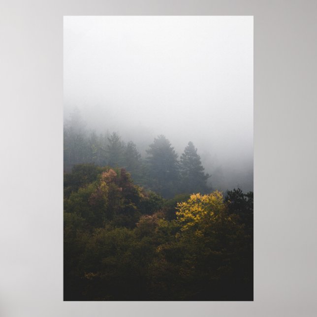 Póster Bosque otoñal envuelto en niebla (Frente)