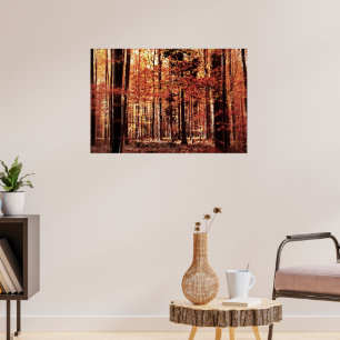 Póster Bosque otoñal hermoso