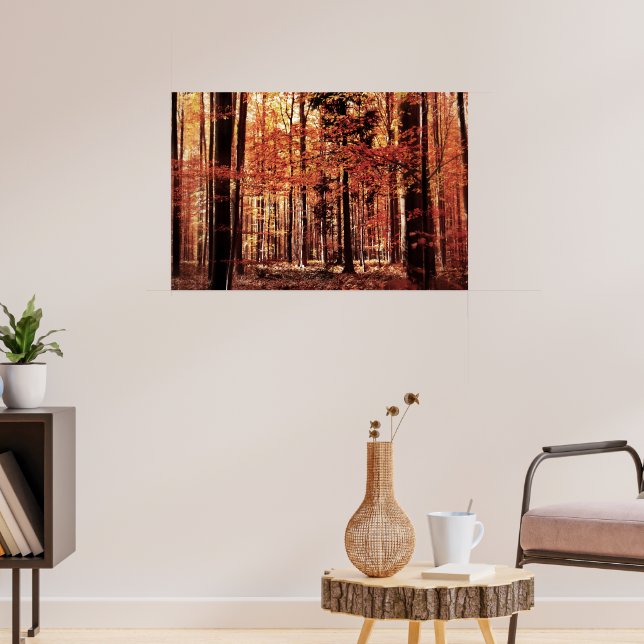 Póster Bosque otoñal hermoso (Salón 3)