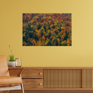 Póster Bosque otoñal impresionante