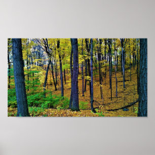 Póster Bosque otoñal, West Bend, Wisconsin