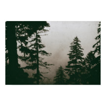 Bosque Pino Árbol Vintage Naturaleza Pines Woodlan